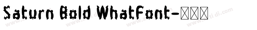 Saturn Bold WhatFont字体转换